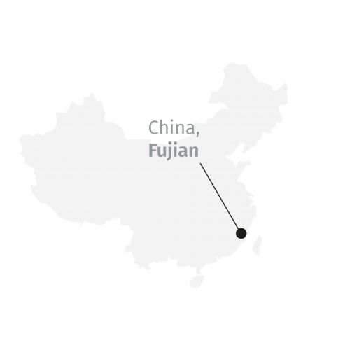 Té Blanco - Yin Zhen Silverneedle BIO