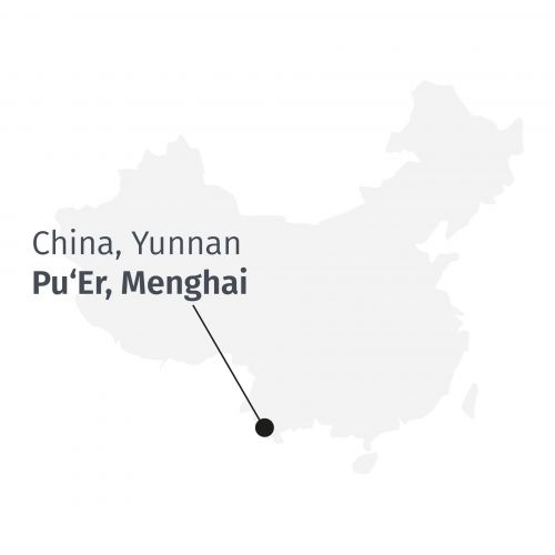 Pu Erh Tea - Premium Menghai Five Years BIO