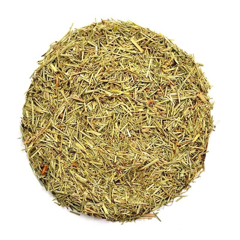Infusion - Horsetail