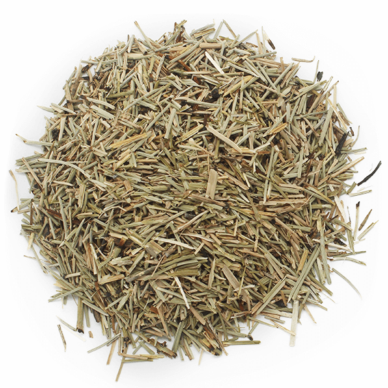Infusion - Horsetail
