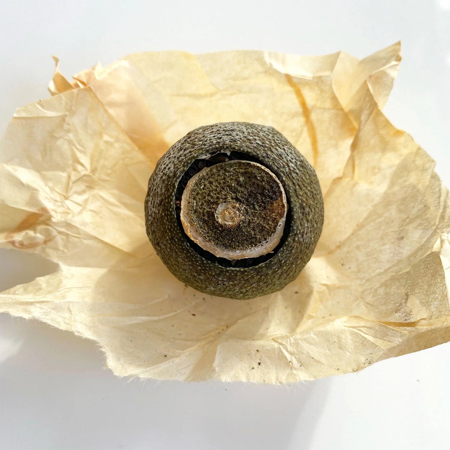 Pu Erh Tea - Stuffed Orange Harvest 2021 (Xiao Qing Gan)