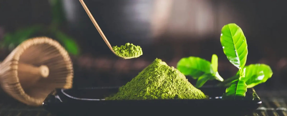 Matcha: el elixir verde y sus poderosos beneficios para cuerpo y mente