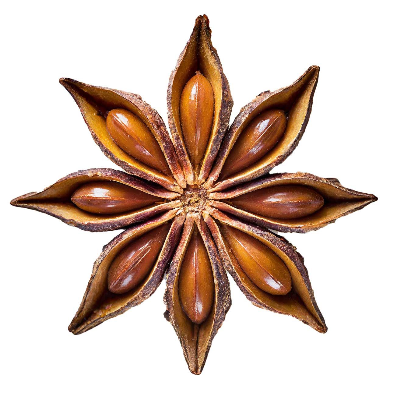Anís Estrellado – Especia Ecológica con Aroma Intenso y Dulce