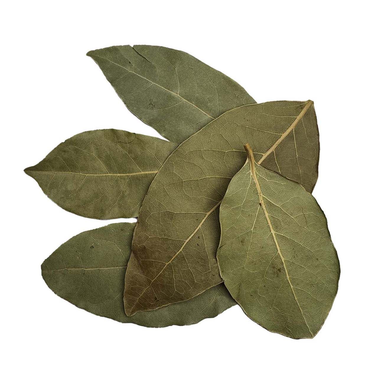 Hojas de Laurel Enteras – Aroma mediterráneo y sabor equilibrado