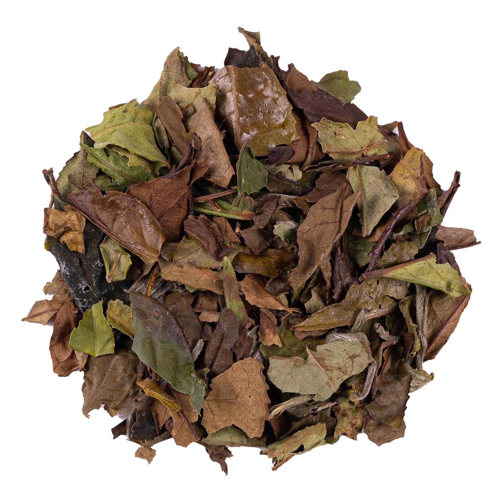 White Tea - China Pai Mu Tan