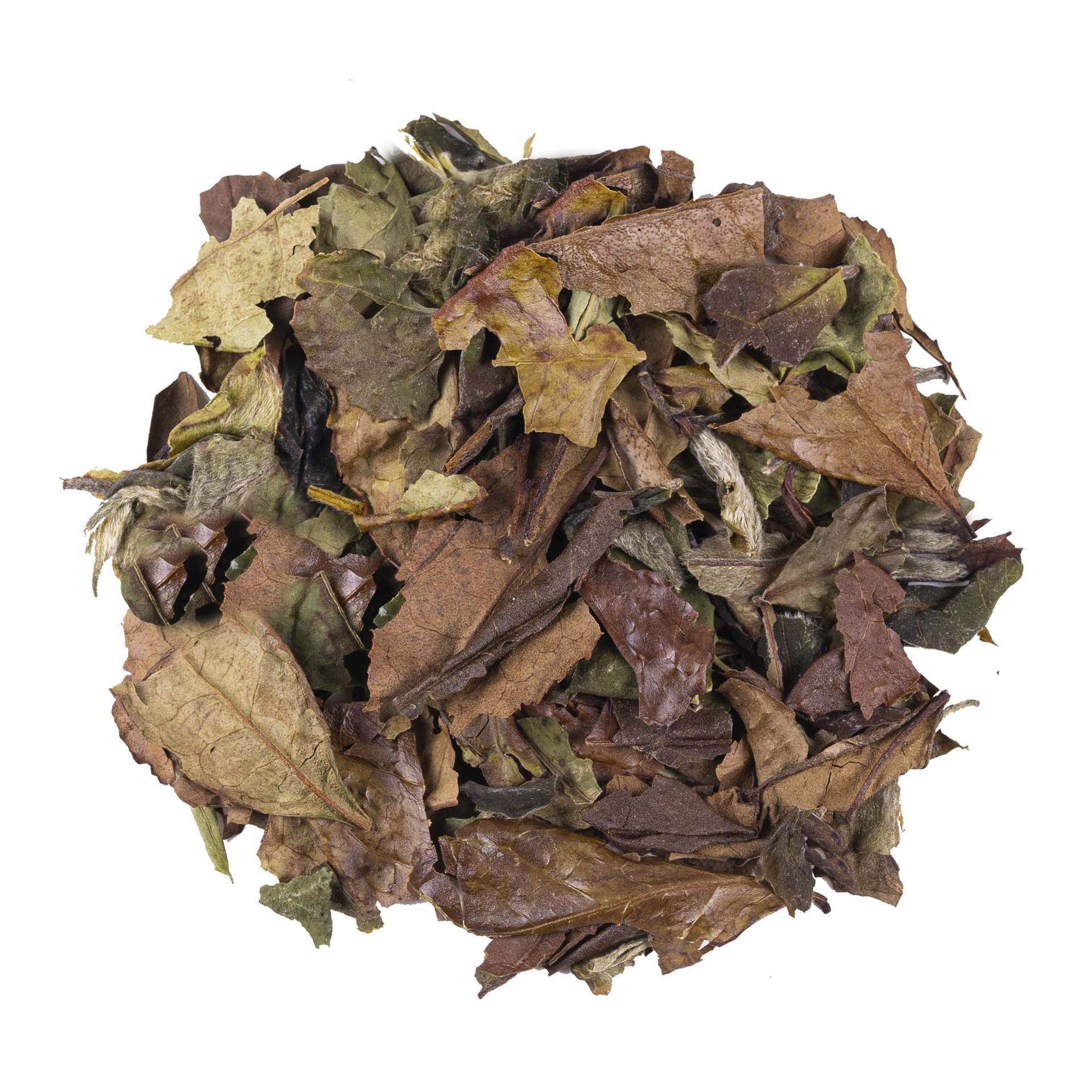 White Tea - China Pai Mu Tan Special BIO