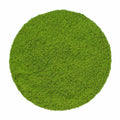 Matcha - Organic Culinary Arts (China)