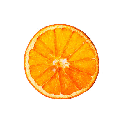Rodajas de Naranja Deshidratada – Para Té y Coctelería